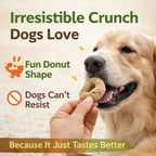 Chicken Flavor Dog Donuts – Dog Snacks