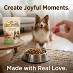 Lamb & Rice Recipe Dog Food