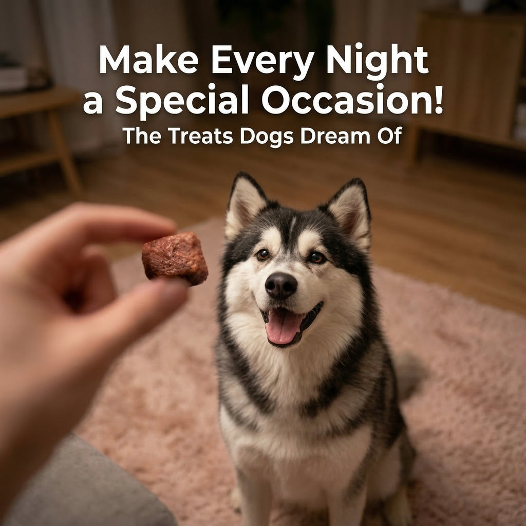 Savory Steak Flavored Dog Treats