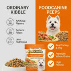 Turkey & Vegetables Recipe Dog Food